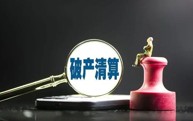 宜宾三家公司步入破产清算程序 专业服务护航市场出清